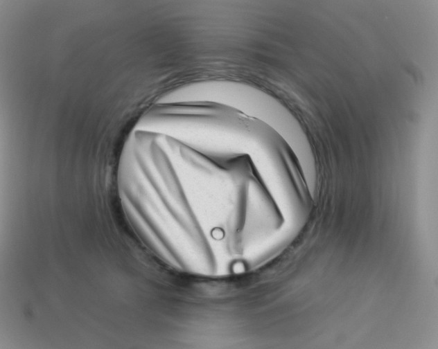 X0000113900417200910221442