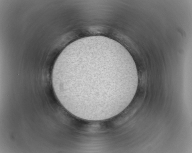X0000113900418200910221442
