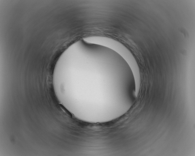X0000113900419200910221442