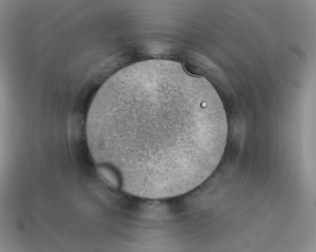 X0000113900421200910221442