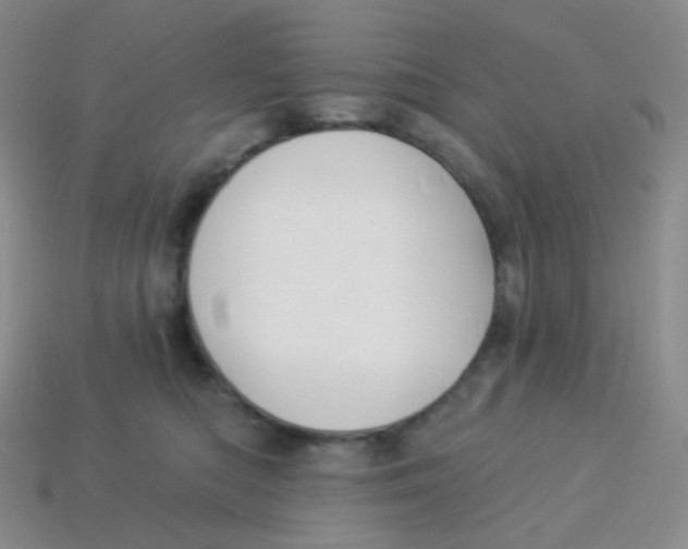 X0000113900422200910221442
