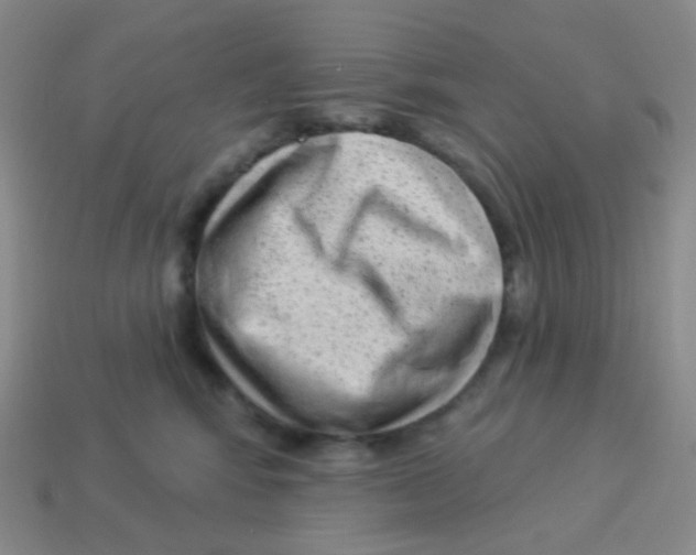 X0000113900424200910221442