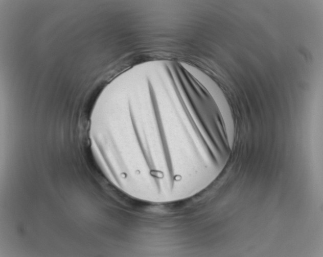 X0000113900425200910221442