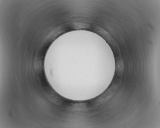 X0000113900426200910221442