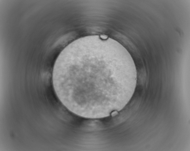 X0000113900427200910221442
