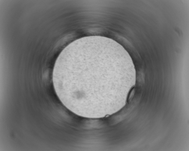 X0000113900428200910221442