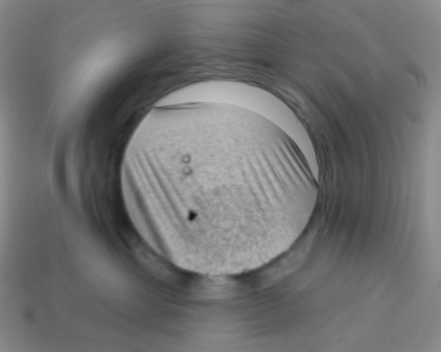 X0000113900429200910221442