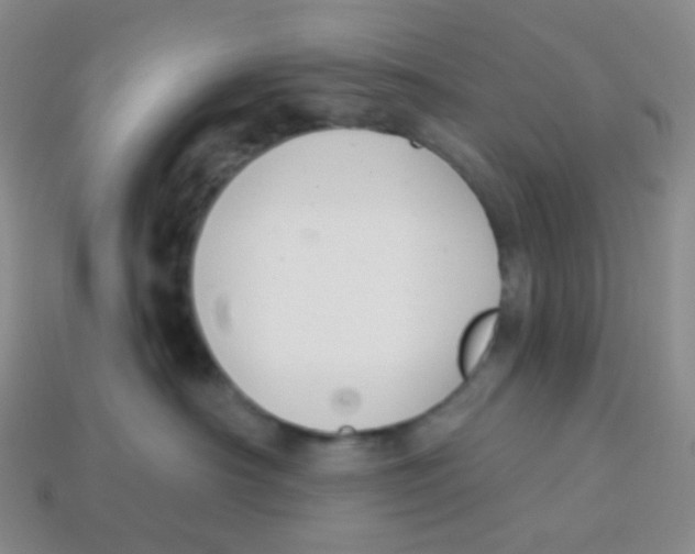 X0000113900430200910221442