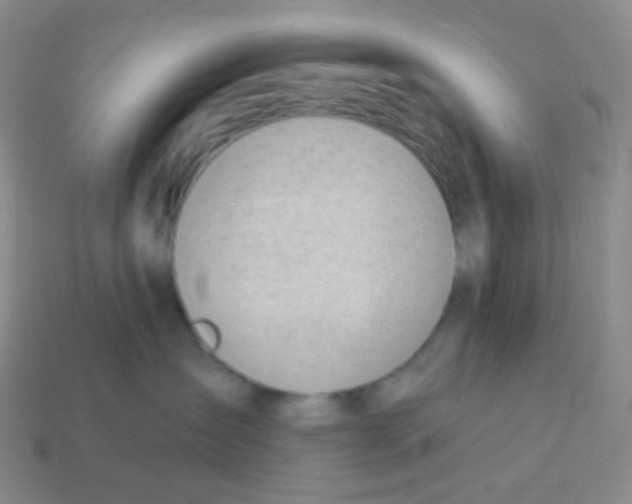 X0000113900431200910221442