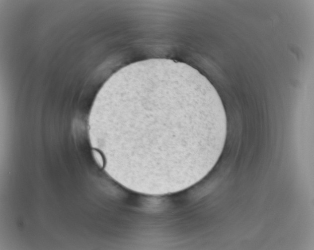 X0000113900432200910221442