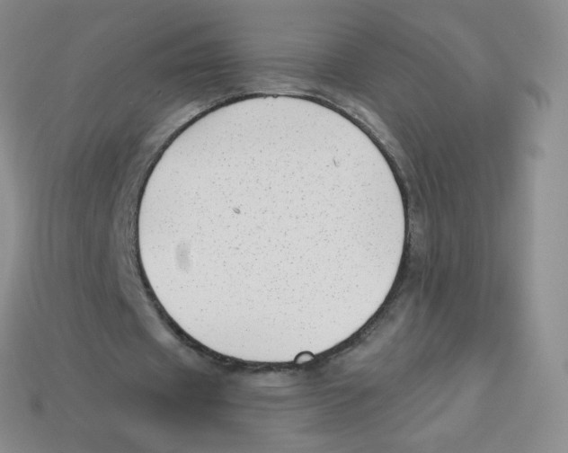 X0000113900433200910221441