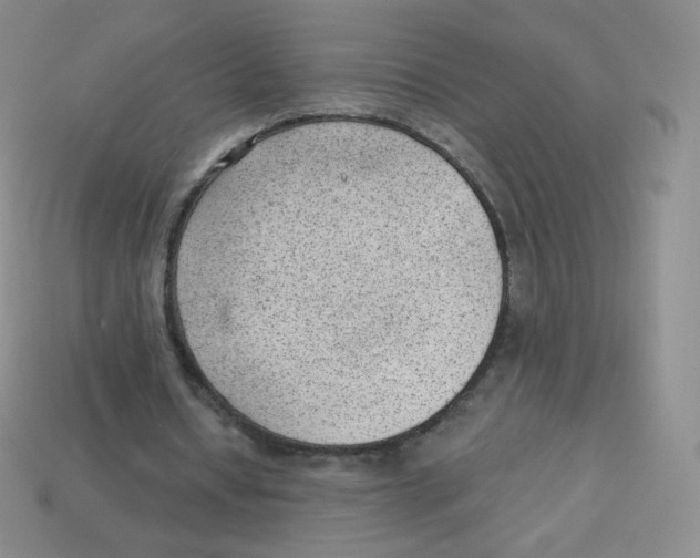 X0000113900434200910221441