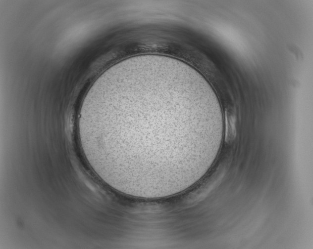 X0000113900435200910221441