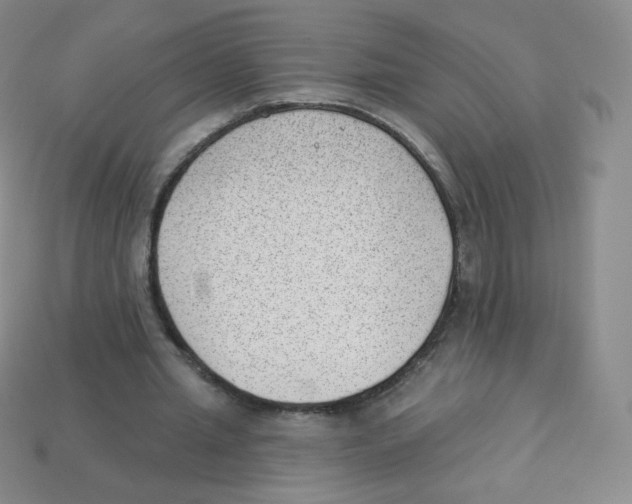 X0000113900437200910221442