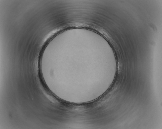 X0000113900438200910221442