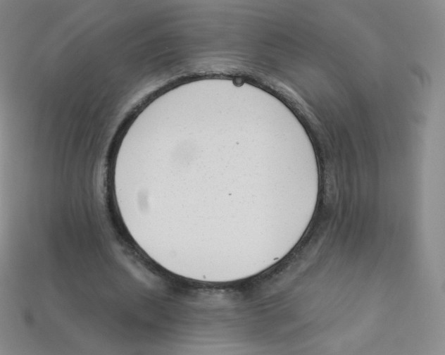 X0000113900439200910221442