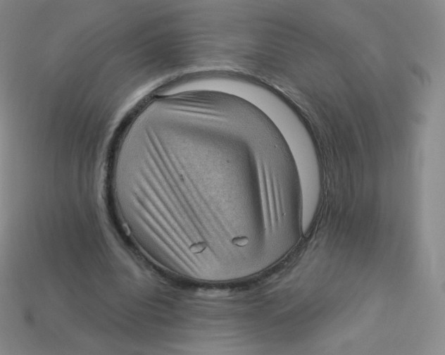 X0000113900440200910221442