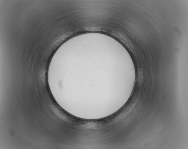 X0000113900441200910221442