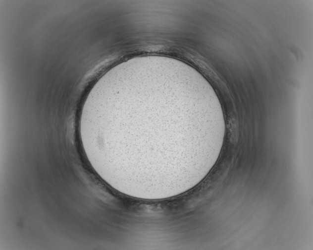 X0000113900442200910221442