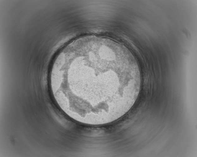 X0000113900443200910221442