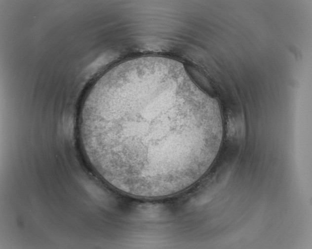 X0000113900444200910221442