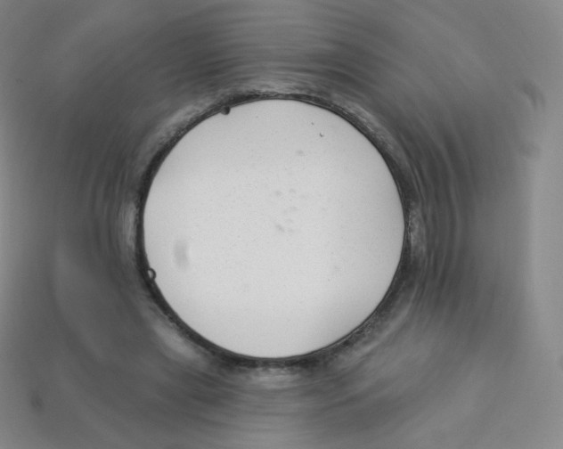 X0000113900445200910221442
