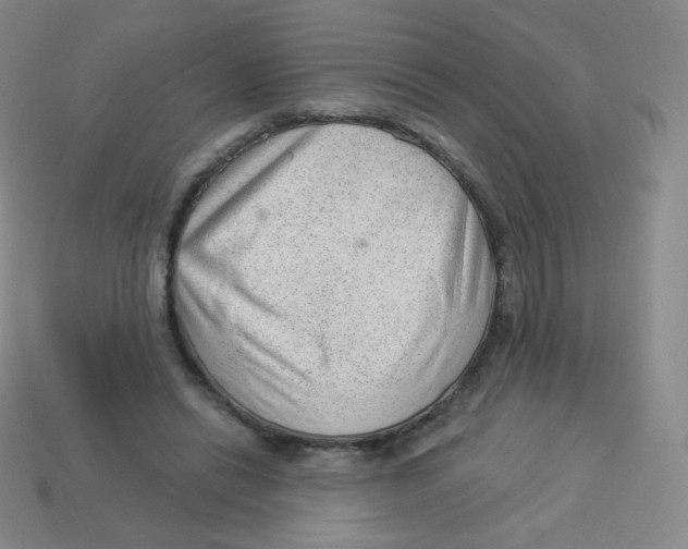 X0000113900446200910221442