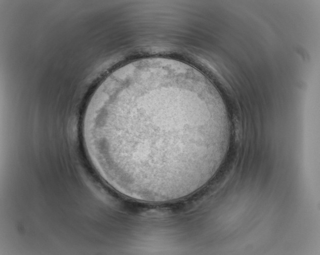 X0000113900447200910221442