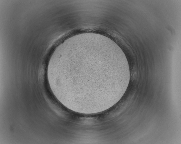 X0000113900448200910221442