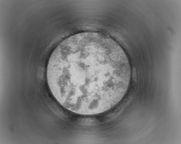 X0000113900449200910221442