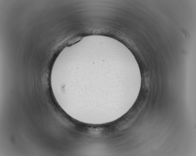 X0000113900450200910221442