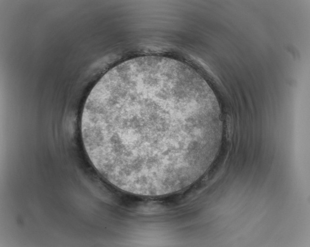 X0000113900451200910221442