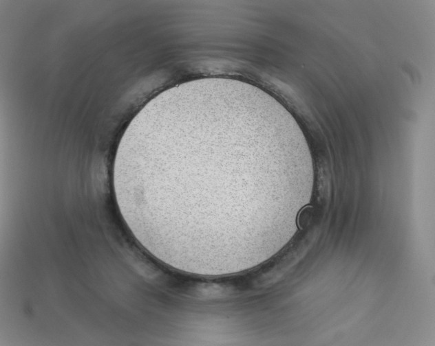 X0000113900453200910221442