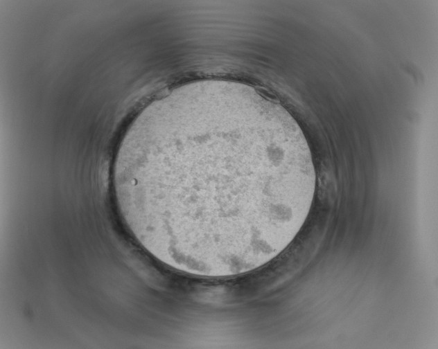 X0000113900454200910221442