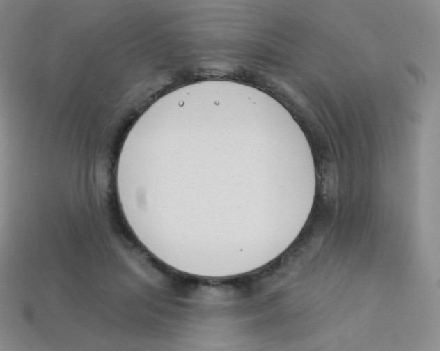 X0000113900455200910221442