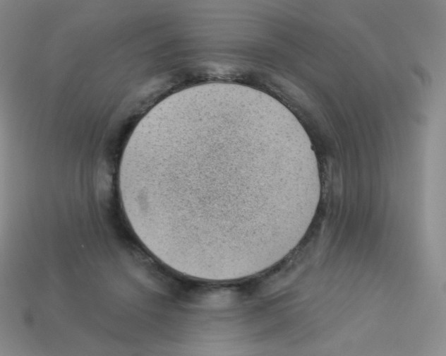 X0000113900456200910221442