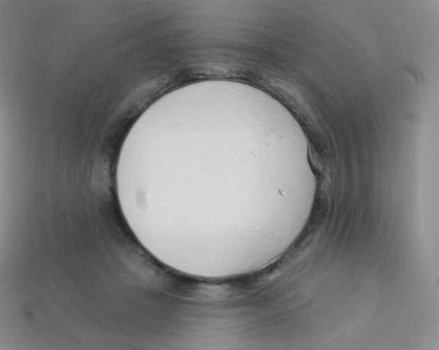 X0000113900457200910221442
