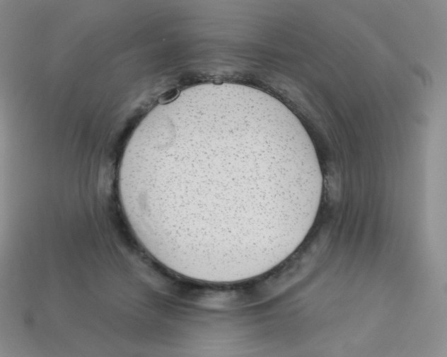 X0000113900458200910221442