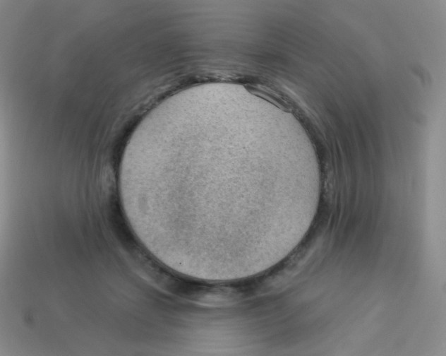 X0000113900459200910221442