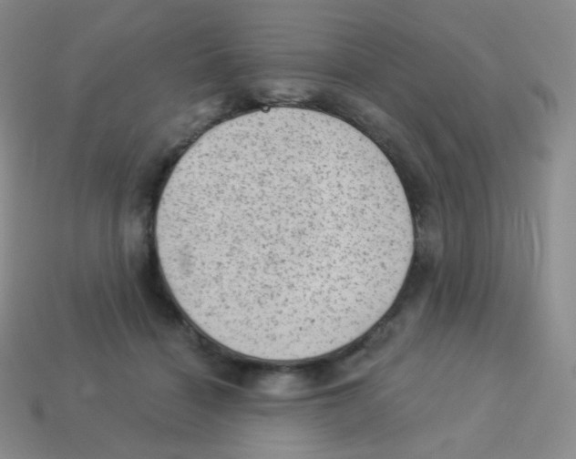 X0000113900460200910221442