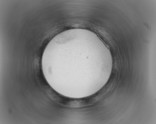 X0000113900461200910221442