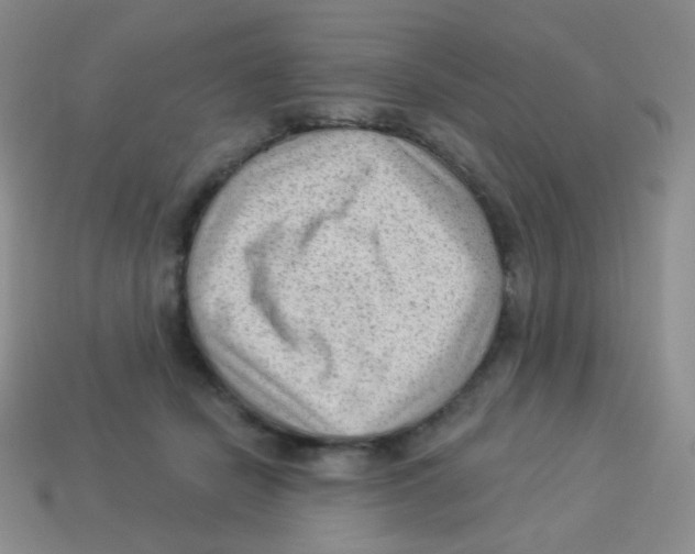 X0000113900462200910221442