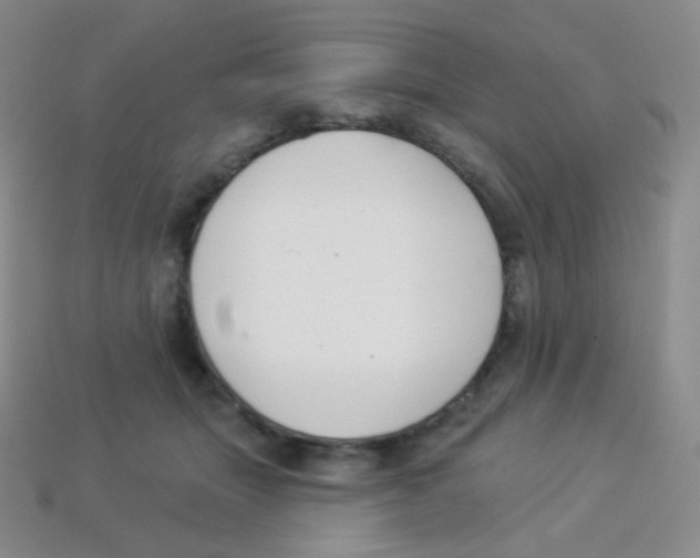 X0000113900463200910221442