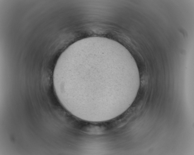 X0000113900464200910221442