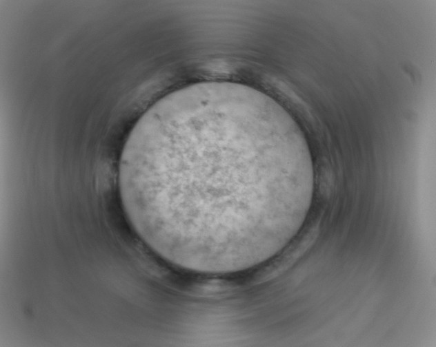 X0000113900467200910221442