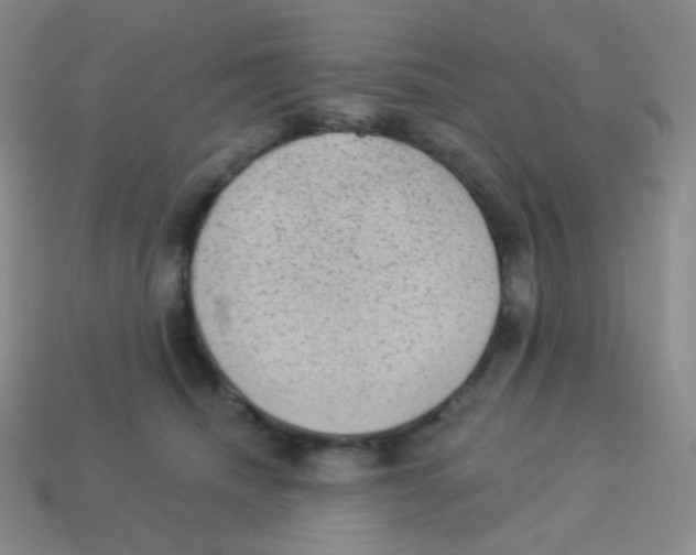 X0000113900468200910221442