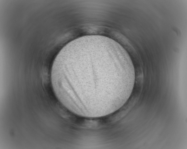 X0000113900469200910221442