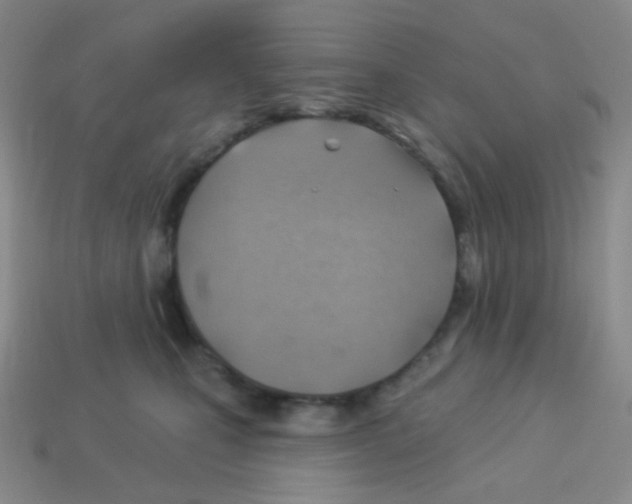 X0000113900471200910221442