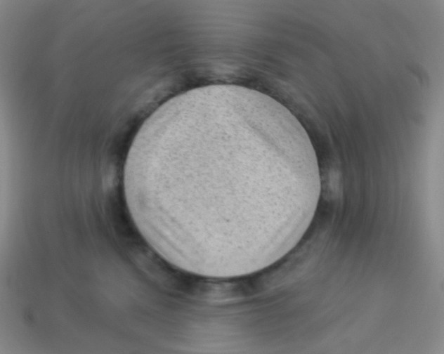 X0000113900472200910221442