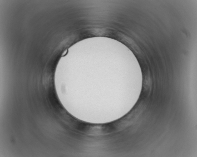 X0000113900473200910221442